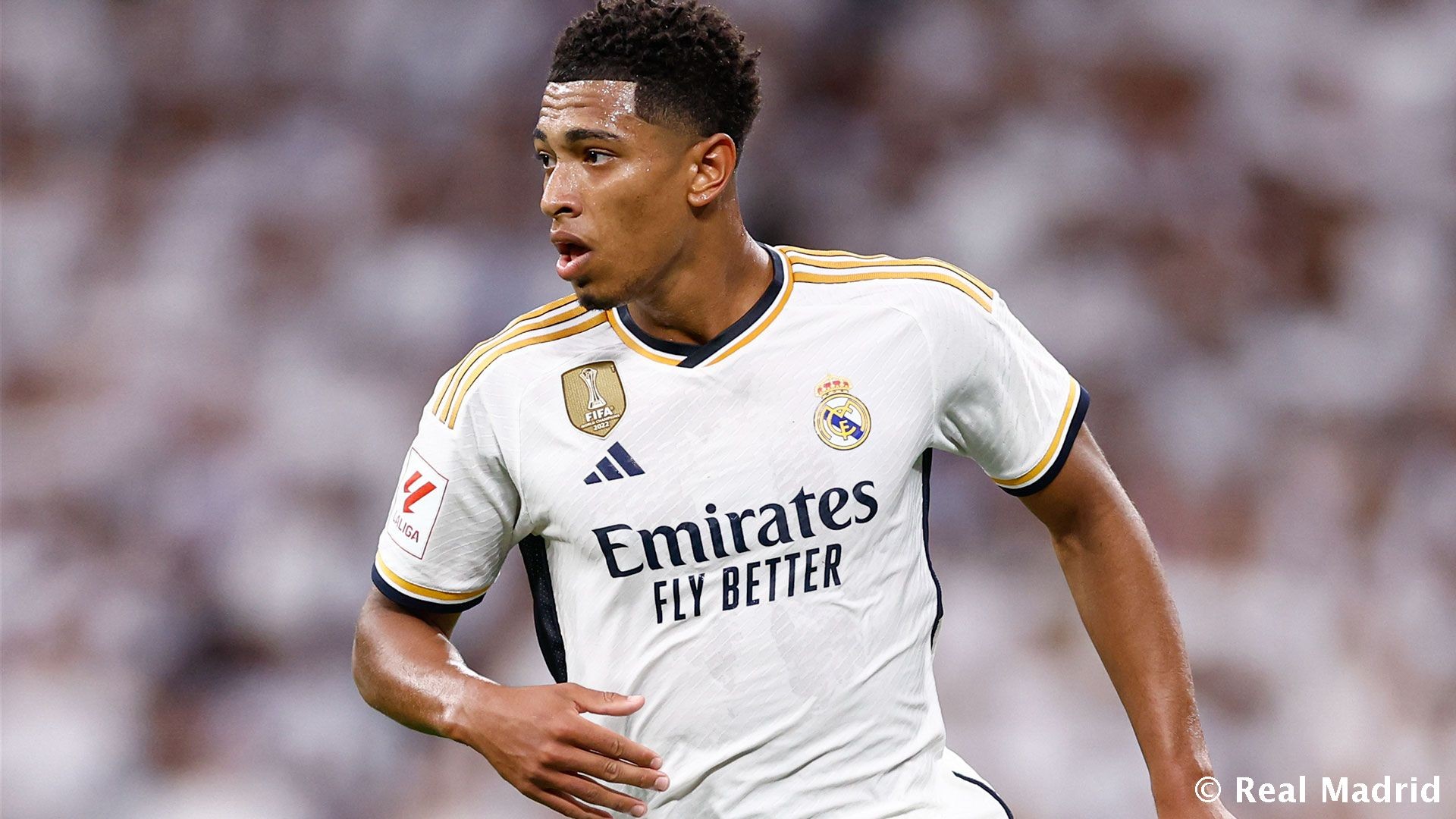 中超：山东泰山主场2-0完胜青岛队（中超：山东泰山主场2-0零封青岛队）